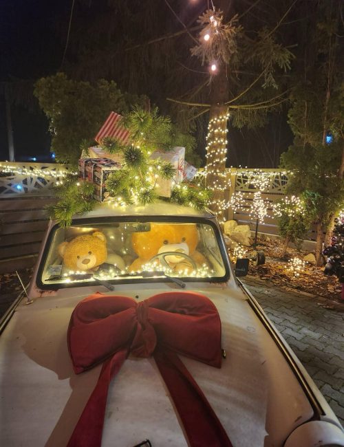 IMG-fbd1691b388ab4b387de538bae99a554-V